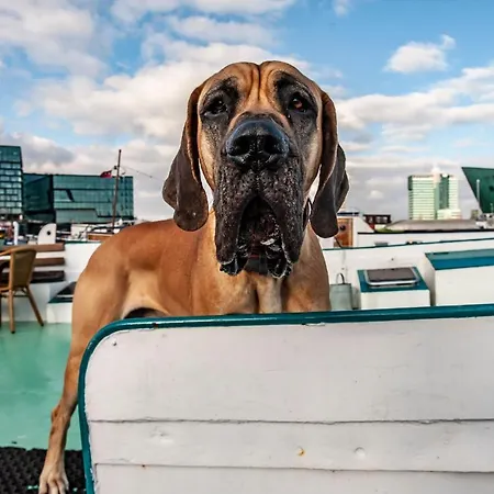 Hotelboat *