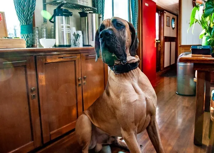 Hotelboat * Amesterdão